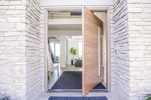 modern pivot entry door